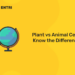 Plant vs Animal Cell - Know the Difference