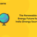 The Renewable Energy Future for India (Energy Source)