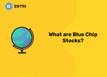 What are Blue Chip Stocks?