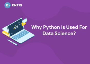 Why Python Is Used For Data Science?