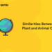 Similarities Between Plant and Animal Cell
