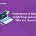 Importance of Digital Marketing: Reasons Why You Need it