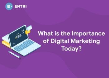 What is the Importance of Digital Marketing Today?