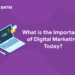 What is the Importance of Digital Marketing Today?