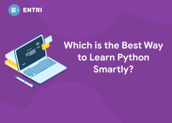 Which is the Best Way to Learn Python Smartly?