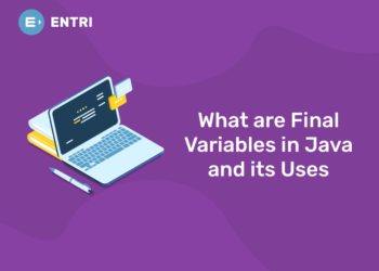 What are Final Variables in Java and its Uses