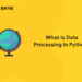What Is Data Processing in Python