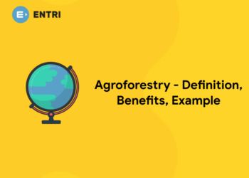 Agroforestry – Definition, Benefits, Example