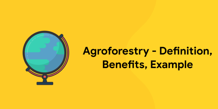 Agroforestry – Definition, Benefits, Example