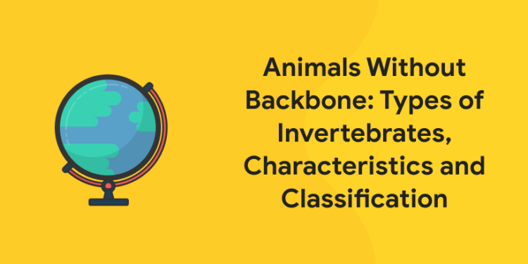 Animals Without Backbone - Types of Invertebrates, Characteristics and Classification