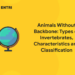 Animals Without Backbone - Types of Invertebrates, Characteristics and Classification