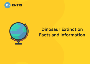 Dinosaur Extinction Facts and Information