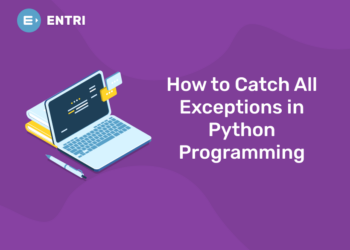 How to Catch All Exceptions in Python Programming