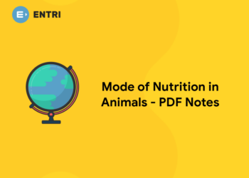 Mode of Nutrition In Animals – PDF Notes