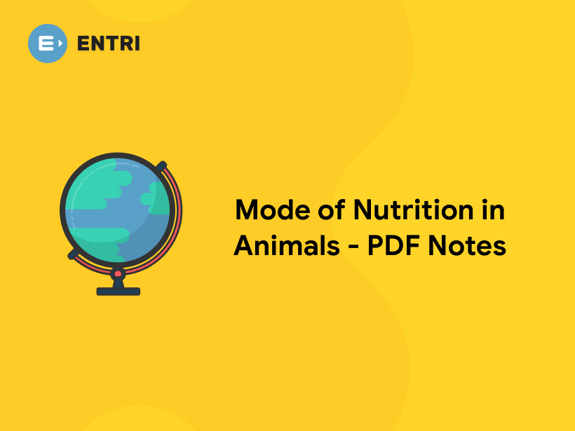 Mode of Nutrition In Animals - PDF Notes - Entri Blog