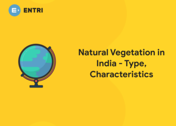 Natural Vegetation in India- Type, Characteristics