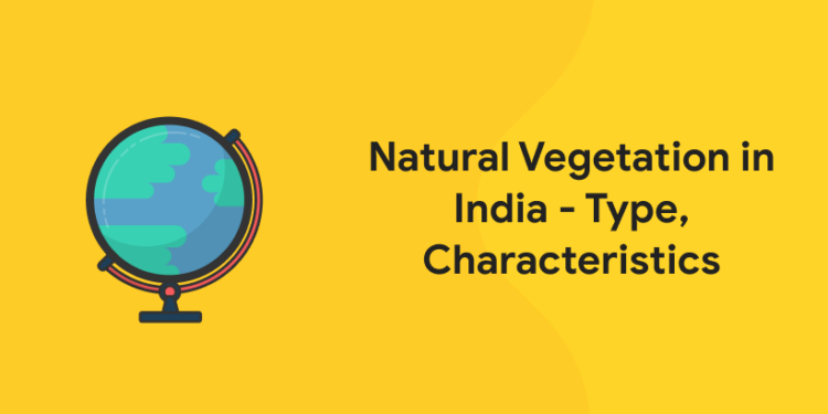 Natural Vegetation in India- Type, Characteristics