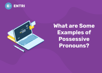 What are Some Examples of Possessive Pronouns?