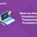 What are Some Examples of Possessive Pronouns?