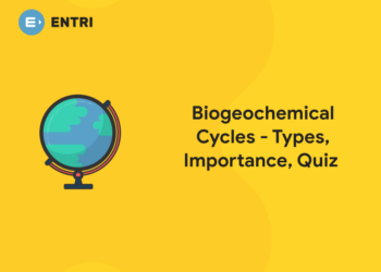 Biogeochemical Cycles - Types, Importance, Quiz 