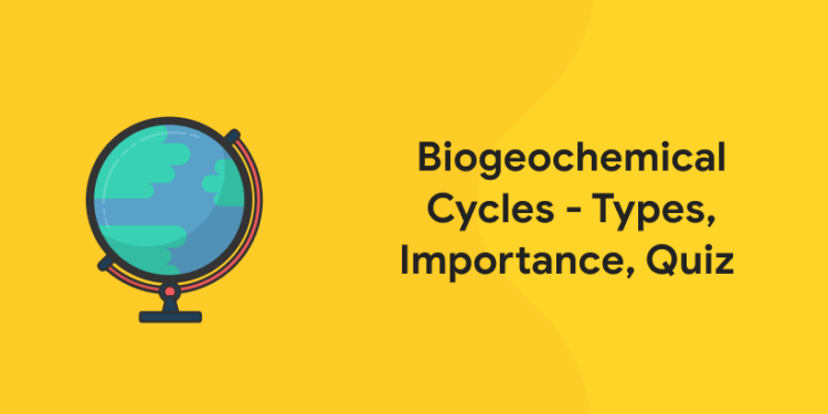 Biogeochemical Cycles - Types, Importance, Quiz