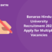 Banaras Hindu University Recruitment 2022: Apply for Multiple Vacancies