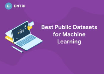 Best Public Datasets for Machine Learning