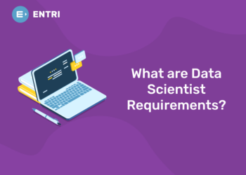 What are Data Scientist Requirements?