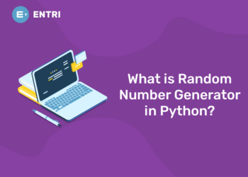 What is Random Number Generator in Python?