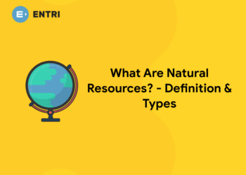 What Are Natural Resources? – Definition & Types