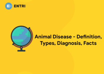 Animal Disease – Definition, Types, Diagnosis, Facts