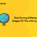 Diet During Different Stages Of The Life Cycle
