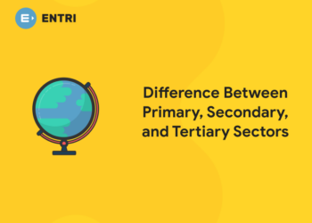 Difference Between Primary, Secondary, and Tertiary Sectors thumbnail