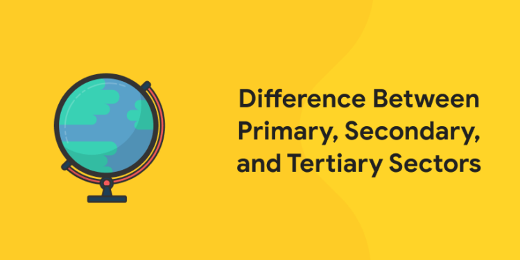 Difference Between Primary, Secondary, and Tertiary Sectors thumbnail