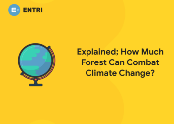 Explained; How Much Forest Can Combat Climate Change
