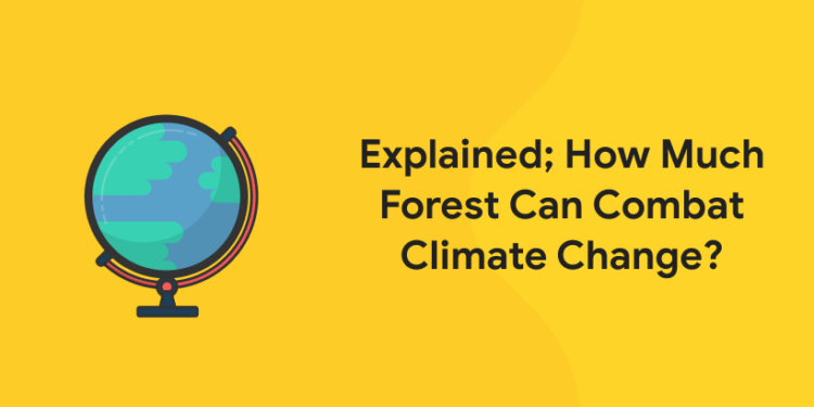 Explained; How Much Forest Can Combat Climate Change
