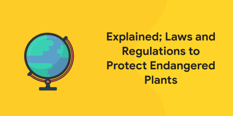Explained; Laws and Regulations to Protect Endangered Plants