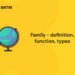 Family - definition, function, types