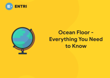 Ocean Floor – Everything You Need to Know