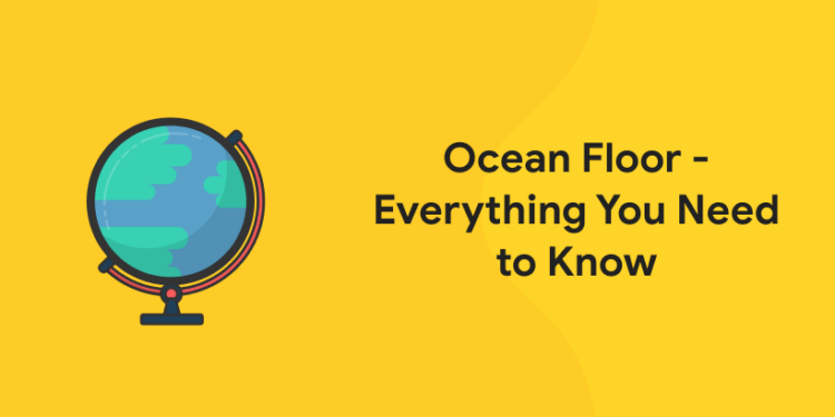 Ocean Floor – Everything You Need to Know