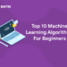 Top 10 Machine Learning Algorithms For Beginners