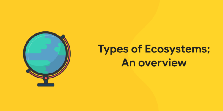 Types of Ecosystems; An overview