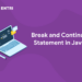 Break and Continue Statement in Java