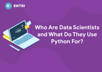 Who Are Data Scientists and What Do They Use Python For?
