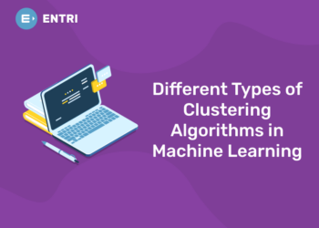 Different Types of Clustering Algorithms in Machine Learning