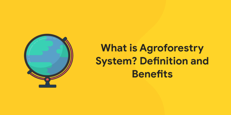 What is Agroforestry System Definition and Benefits