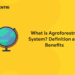 What is Agroforestry System Definition and Benefits
