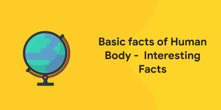 Basic facts of Human Body – Interesting Facts