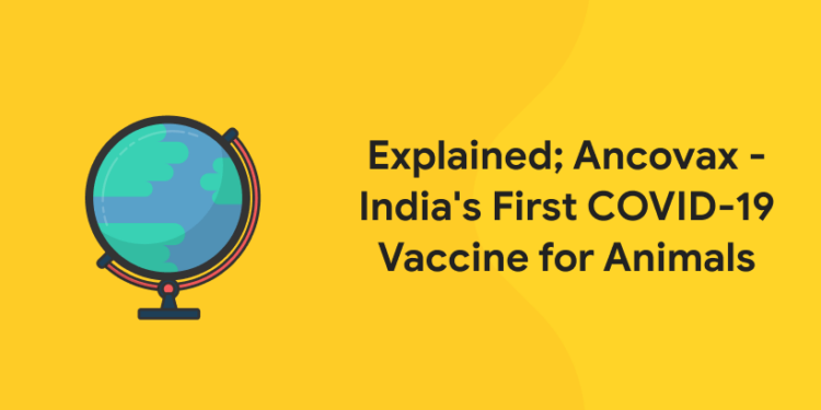 Explained; Ancovax – India’s First COVID-19 Vaccine for Animals