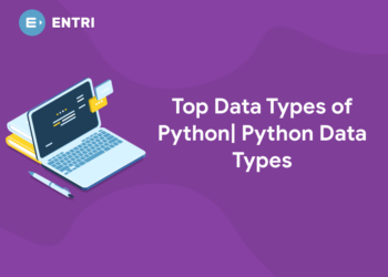 Top Data Types of Python| Python Data Types